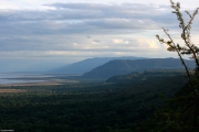 manyara11f