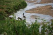 tarangire07f